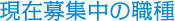 現在募集中の職種